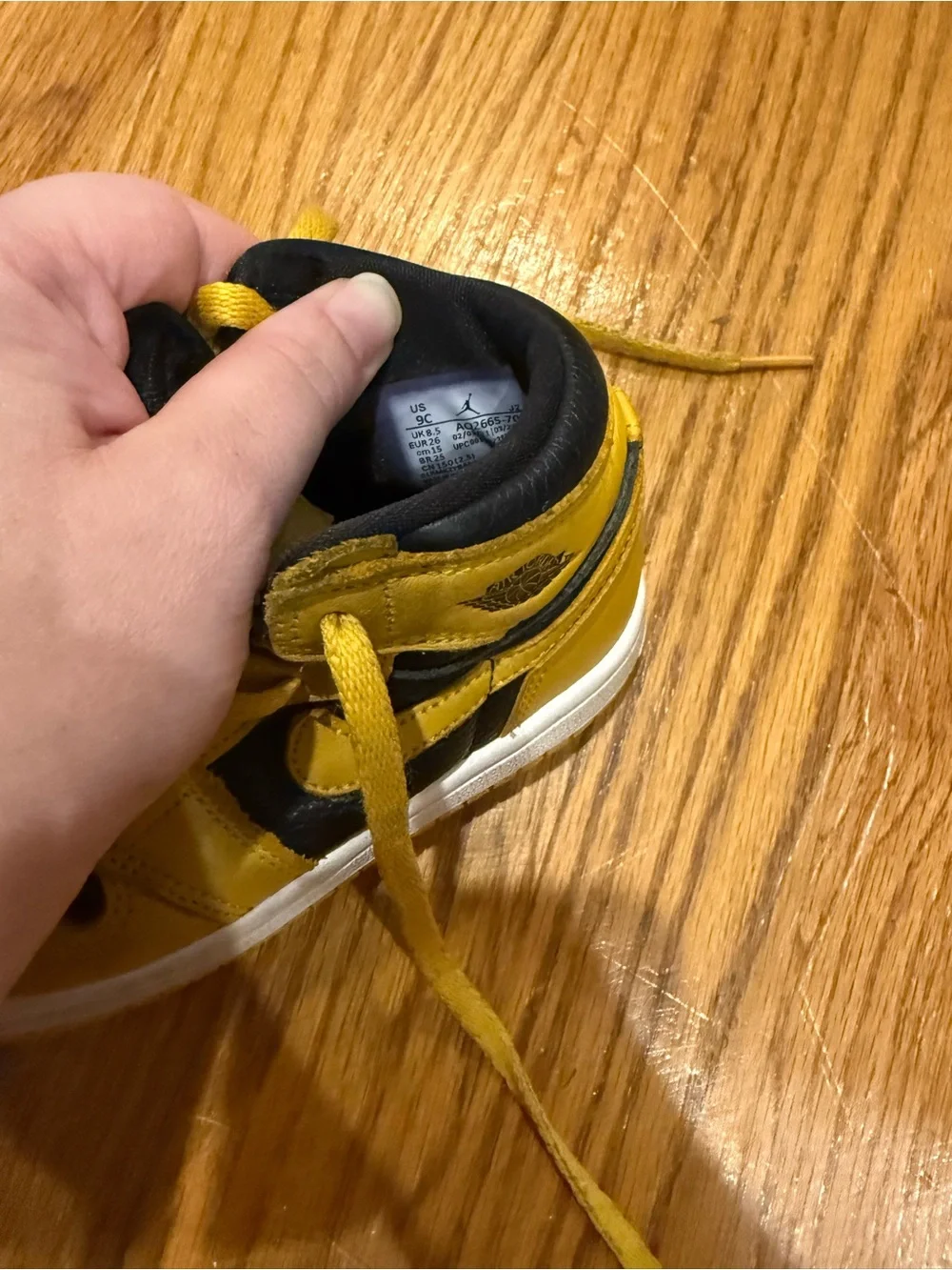 Nike Air Jordan 1 Retro High OG 'Pollen'